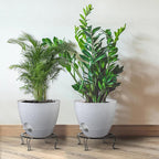 12inch 2Pack Large Self Watering Planters, Plastic Plant Pots - Image 6