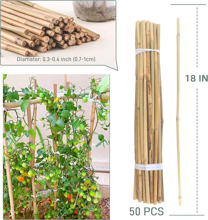 50Pcs / 18 inch Bamboo Plant Stakes - Image 5