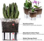 Self Watering Pots Set, 3 Pack 5/4.1/2.7 Inch Self Watering Pot - Image 4