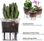 Self Watering Pots Set, 3 Pack 5 Inch - Image 4