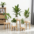 Delma Wood Plant Stands Indoor, Mid-Century Modern Plant Stool, Tall Plant Stand - Image 7