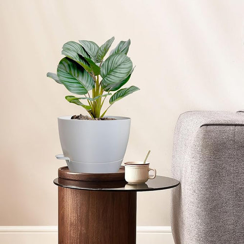 10 inch Self Watering Pots, 2 Pack Plastic Planters - Image 2