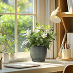T4U 7 Inch Self Watering Pots for Indoor Plants, 4 Pack Plant Pots, Self - Image 8