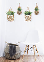 2 Packs Hanging Planters for Indoor Plants up to 6 in., Wall Plant Holder | - Image 5