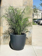 Kante 14 Inch Dia Round Concrete Planter, Indoor Outdoor Large Plant Pot - Image 8