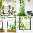 2 Pack 36pcs Chain Trellis for Climbing Plants Indoor & Outdoor, Garden Wall - Image 7