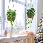 Hanging Planters for Indoor Plants - Image 5