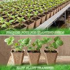 120 Pcs Square Peat Pots for Seedlings - Image 5
