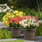 16 inch Plant Pots Outdoor Planters，4 Pack Large Plastic Flower Pot - Image 6