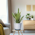 Ceramic Pots for Plants - Image 5