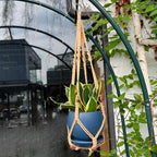 Macrame Plant Hanger for 5 to 10 Inch Plant Pots, Hanging Planter Basket Holder - Image 6