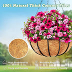 Y&M 2pcs 10“ Round Coconut Fiber Liner - Image 6
