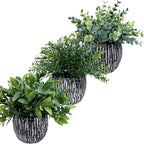 Winlyn Set of 3 Artificial Potted Plants Faux Eucalyptus Rosemary Boxwood - Image 3
