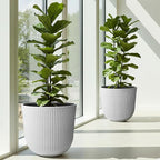 WORTH Garden Round Large Planter Pot Set of 2-17.5" Dia x 15.5" H - Image 2