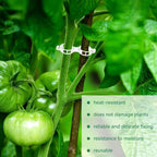 300 Pcs Plant Clips for Climbing Plants, Tomato Clips for Support, Plastic - Image 4