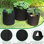 JERIA 12-Pack 2 Gallon Grow Bags, 300G Thickened Nonwoven Garden Pots, Heavy - Image 3