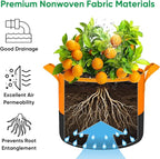 6-Pack 20 Gallon Grow Bags - 350G Heavy Duty Thickened Colorful Potato Grow Bags - Image 5