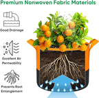5-Gallon Grow Bags: 6 Pack Heavy Duty 350G Thickened Fabric Pots Nonwoven Felt - Image 4