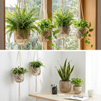 6 Pack Self Watering Hanging Planters Indoor Flower Pots Visible Water Level - Image 7