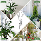32.6in Monstera Plant Support Stakes - Image 6