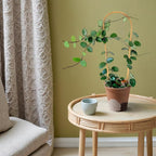 Indoor Plant Trellis for Climbing Plants 16in, 6 Pack Arch Bamboo Trellis for - Image 5