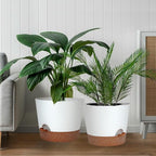 12inch Large Self Watering Plant Pot, Plastic Cylinder Planter - Image 3