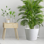 12 inch Large Self Watering Pots, Plant Pots - Image 7