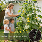 Miory Cucumber Trellis for Raised Beds, 32 x 63 Inch Metal U-Frame Garden - Image 6
