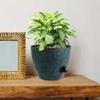 10 inch Self Watering Pots, Plant Pots - Image 7