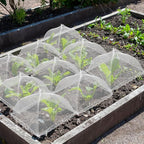 6 Sets Strawberry Plant Supports - Image 7