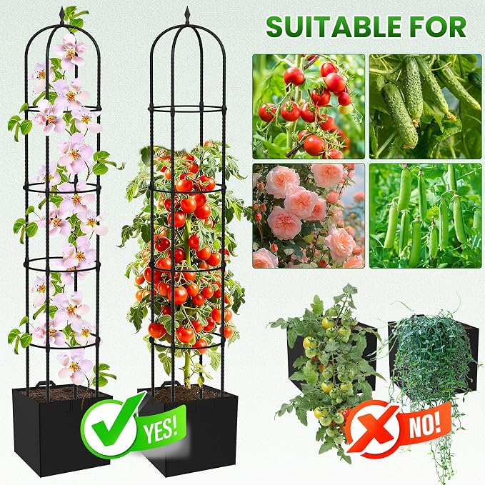Garden Obelisk Trellis for Climbing Plants - Image 5