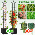 Garden Obelisk Trellis for Climbing Plants - Image 5