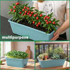 Window Box Planter, 12 Pack Plastic Vegetable Flower Planters Boxes 17 Inches - Image 6