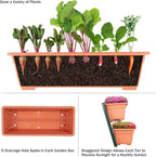 Raised Garden Beds - Image 5