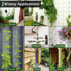 Wire Trellis for Climbing Plants Outdoor, 30-Set Wall Wire Trellis Kit - Image 7