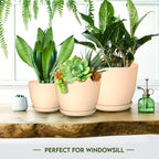 Utopia Home - Plant Pots with Drainage - 7/6.6/6/5.3/4.8 Inches Home Decor - Image 6