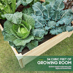 AMERLIFE 8x4 Ft Wood Raised Garden Bed, Durable 15 Inch Depth Planter Box - Image 8