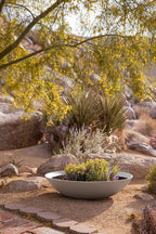 Veradek Mason Series Lane Bowl Planter| - Image 4
