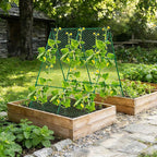 Cucumber Trellis, Foldable Trellis Cucumber - Image 6