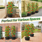 ANPHSIN 3 Sets Tomato Cages - Image 6
