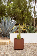 Veradek Corten Steel Series Cube Planter - Image 8