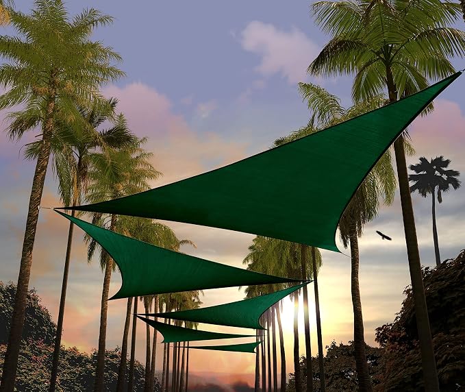 Amgo Custom Size 25' x 25' x 25' Green Triangle Sun Shade Sail UPF50+ AGTAPRT12 by Amgo