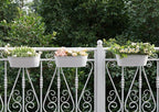 Dahey 3 Pcs Metal Iron Hanging Flower Pots - Image 4