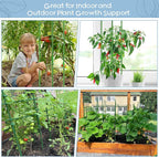 Legigo 6-Pack Tomato Cage for Garden Plant Support- Up to 63inch Garden Stakes - Image 7