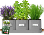 volila Herb Planter Indoor by volila
