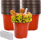 TDHDIKE 6 Inch Plastic Plant Nursery Pots Seedling Flower Plant Container Seed by TDHDIKE