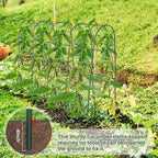 iGreely Cucumber Trellis for Raised Bed, U-Shape Garden Arch Metal Support for - Image 5