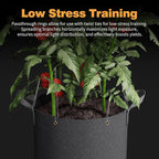 Self-Watering Grow Bags, for Low Stress Plant Training Fruits, Vegetables - Image 4