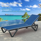 Domi Pool Lounge Chairs Set of 2 - Image 4