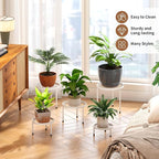 Plant Stand Indoor Outdoor 5 Pack Heavy Duty Metal Stand Multiple Plants - Image 3